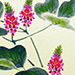 Motoyuki Sasaki Gallery